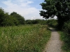 Various footpaths around Trowell